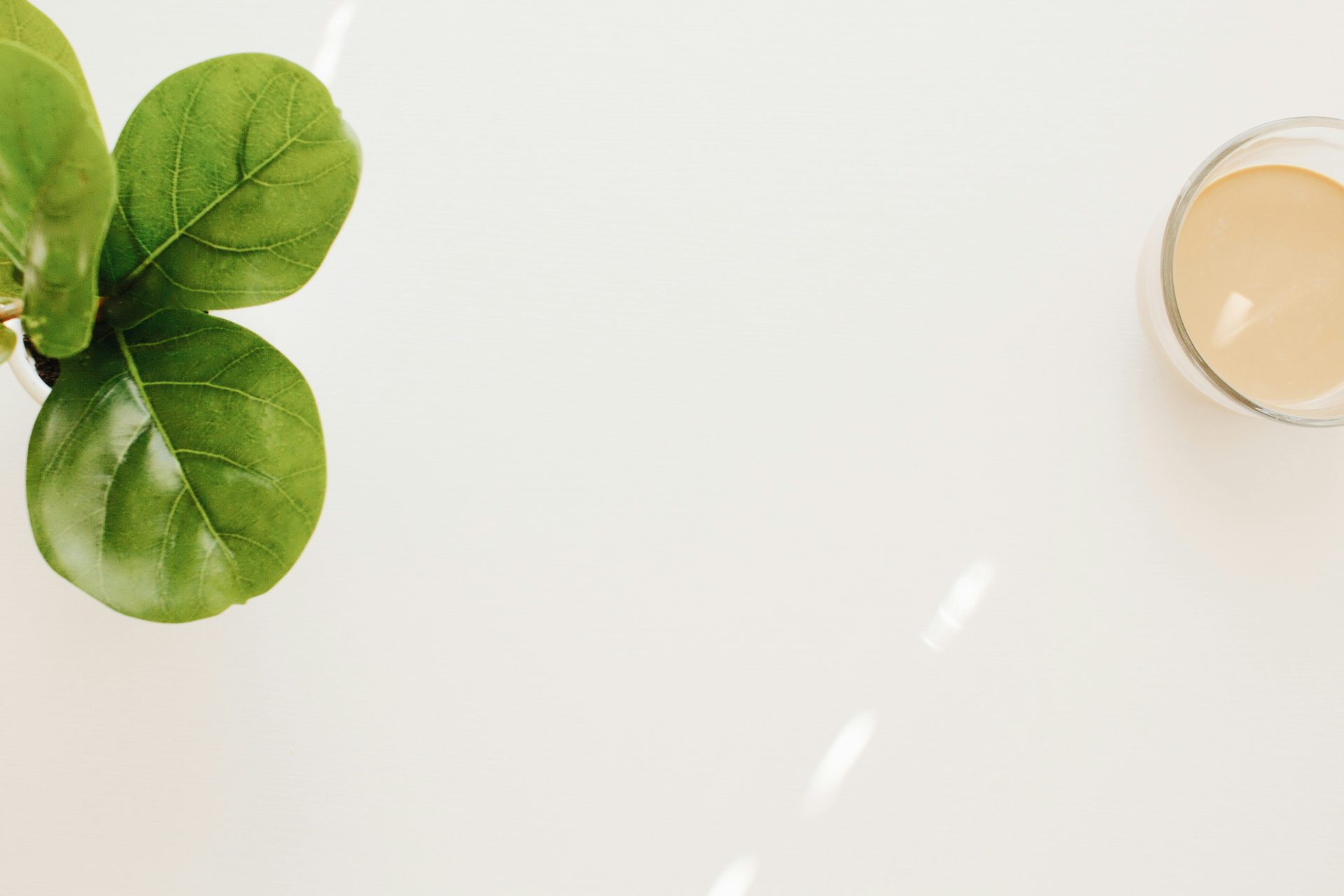 Plant and glass on table