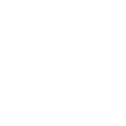 Telephone icon in white